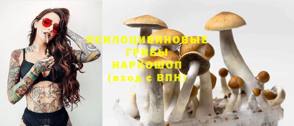 твердый Абинск