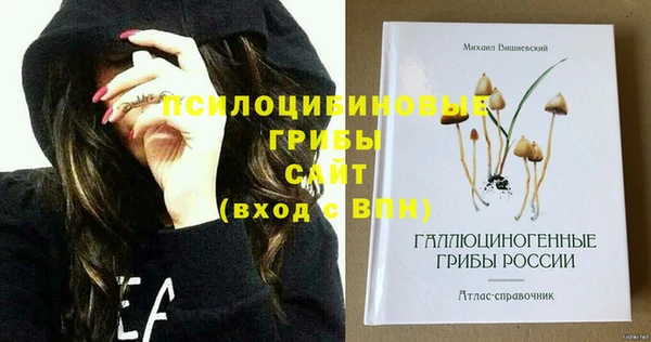твердый Абинск