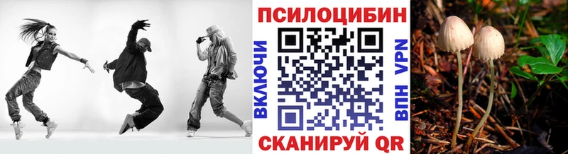 Галлюциногенные грибы мухоморы kraken маркетплейс Стерлитамак